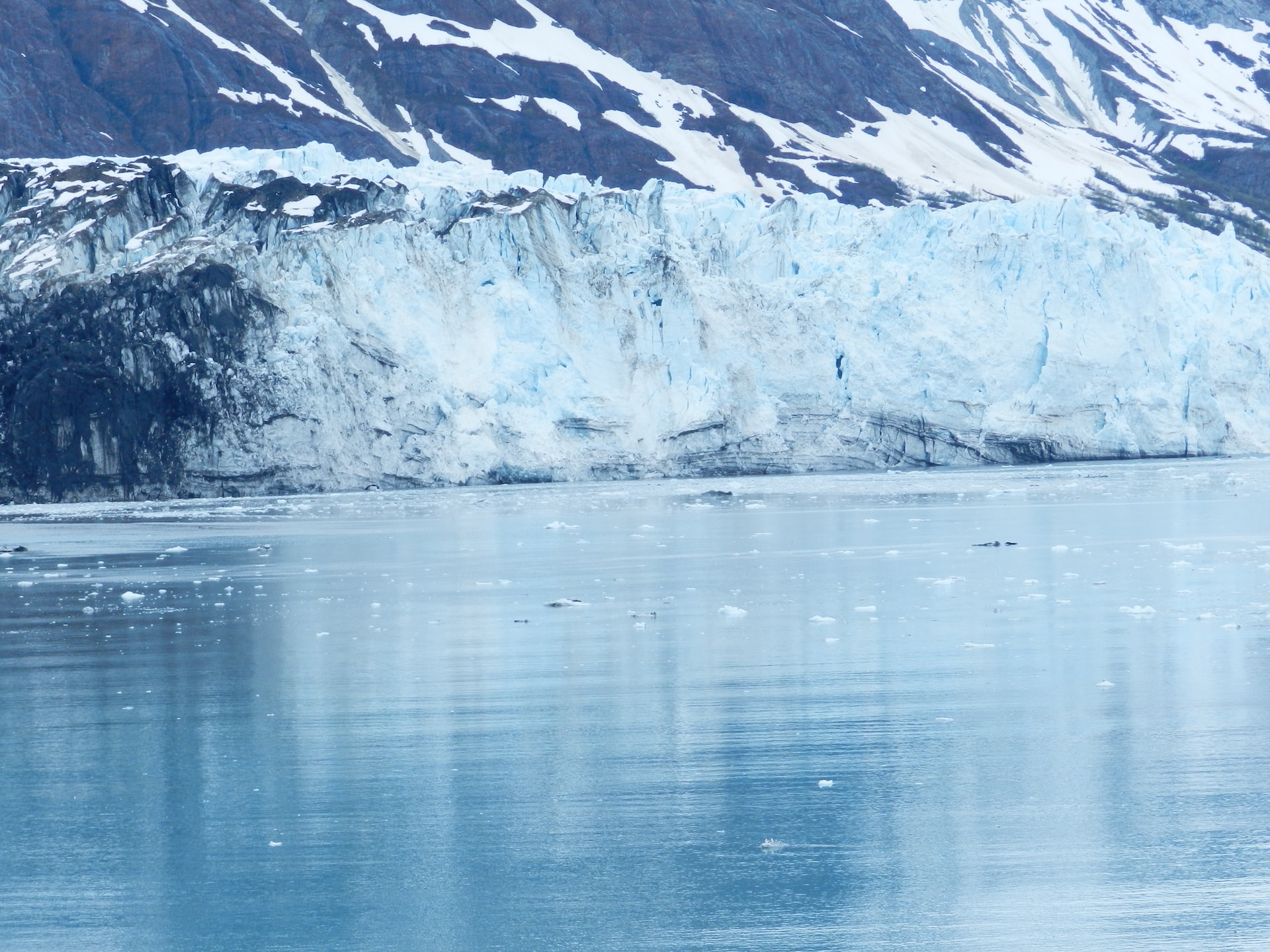 ArcticNet-MEOPAR Postdoctoral Fellows Announced​